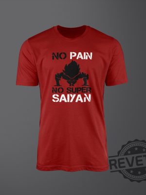 No Pain No Super Saiyan 3 revetee 1