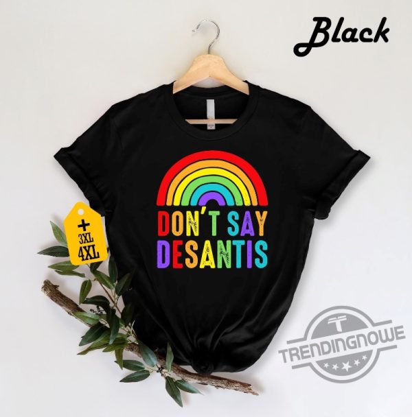 Don't Say Desantis LGBTQ Pride Gift Shirt