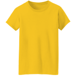 round neck lady shirt color 16