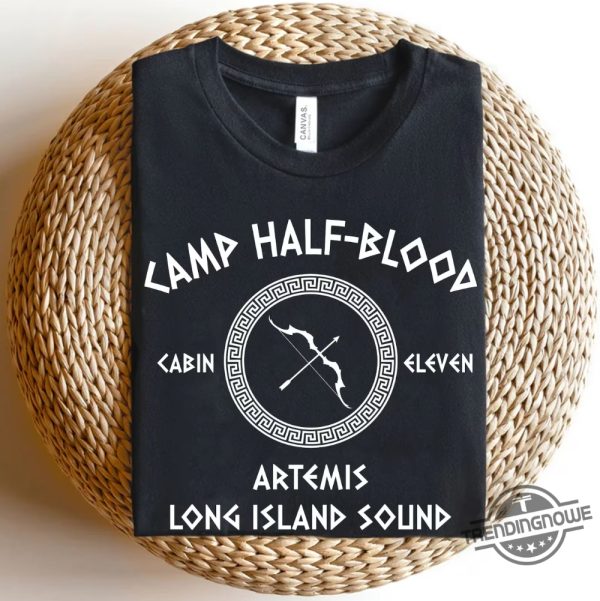 Camp Half Blood Shirt Heroes Of Olympus Shirt Camp Jupiter Shirt Custom Percy Jackson Shirt Percy Jackson and Olympian Shirt Book Lover Gift trendingnowe.com 3