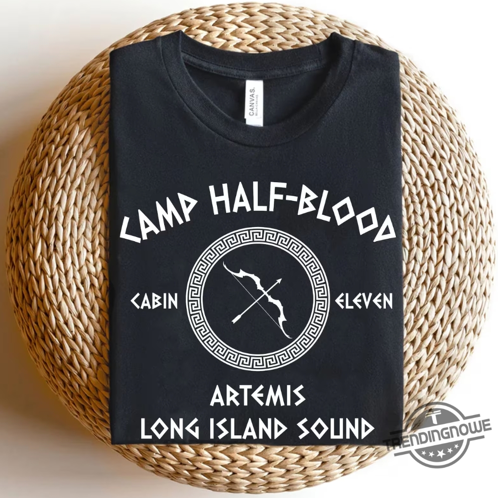  Customized Camp Half Blood Matching Shirts Heroes Of Olympus  Tshirt, Camp Halfblood Cabins Group Tees, Camp Jupiter Costume, Greek  Mythology Shirts : Handmade Products