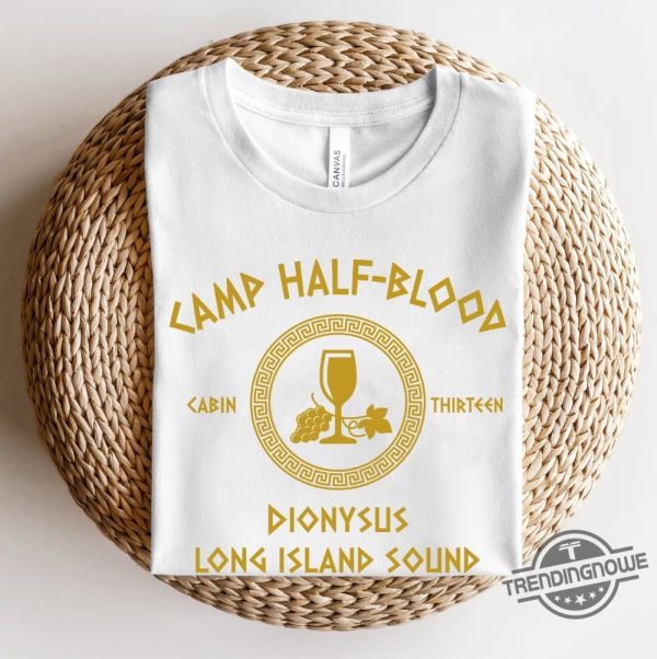 Camp Half Blood Shirt Heroes Of Olympus Shirt Camp Jupiter Shirt Custom Percy Jackson Shirt Percy Jackson and Olympian Shirt Book Lover Gift trendingnowe.com 4