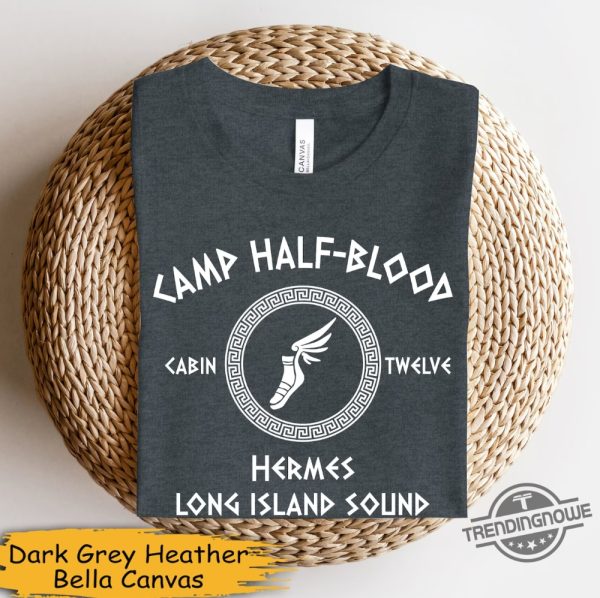 Camp Half Blood Shirt Heroes Of Olympus Shirt Camp Jupiter Shirt Custom Percy Jackson Shirt Percy Jackson and Olympian Shirt Book Lover Gift trendingnowe.com 5