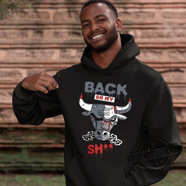 Jordan 13 Wolf Grey Shirt Hoodie Sweatshirt Back On My Unisex Shirt To Match Sneaker trendingnowe.com 4