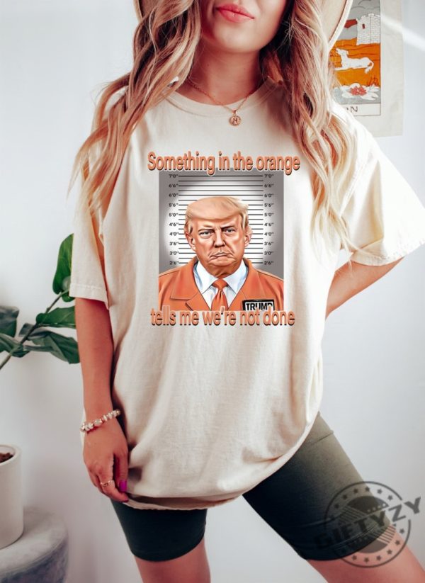 Donald Trump Mugshot Shirt Trending Funny Hoodie Trump Mugshot 2023 Sweatshirt Donald Trump Mugshot Tshirt giftyzy.com 1