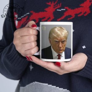 Trump Mugshot Went To Georgia And All I Got Was This Mug Shot Ceramic Mug Actual Trump Prison Mug Shot Trump Never Surrender Mug giftyzy.com 8