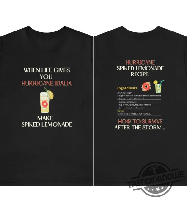 Hurricane Idalia Shirt I Survived Hurricane Idalia Shirt Hurricane Idalia Shirt Hurricane Season 2023 Shirt Make Lemonade Shirt trendingnowe.com 1