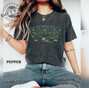 Philadelphia Eagle Football Shirt Philadelphia Eagle Football Crewneck Sweatshirt Retro Nfl Philly Football Tshirt Philadelphia Eagles Hoodie For Men Women Shirt giftyzy 2