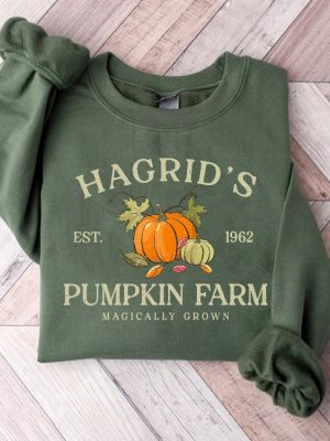 Hagrids Pumpkin Patch Sweatshirt Pumpkin Patch Shirt Fall Sweatshirt Hp Fan Gift Potterhead Gift Wizard Tee Fall Shirt Halloween Tee revetee 5