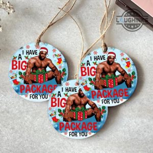 barry wood christmas ornament both sided i have a big package for you circle ornaments funny meme gag xmas tree decoration gift for family laughinks 2