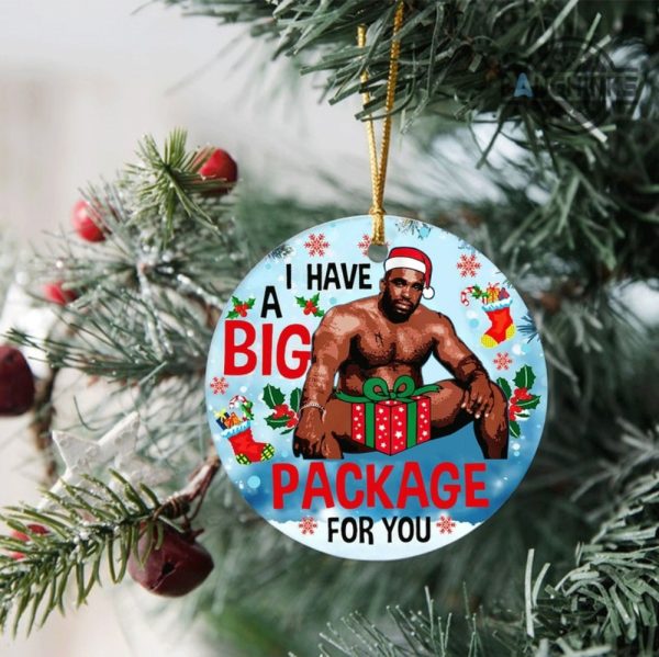 barry wood christmas ornament both sided i have a big package for you circle ornaments funny meme gag xmas tree decoration gift for family laughinks 3