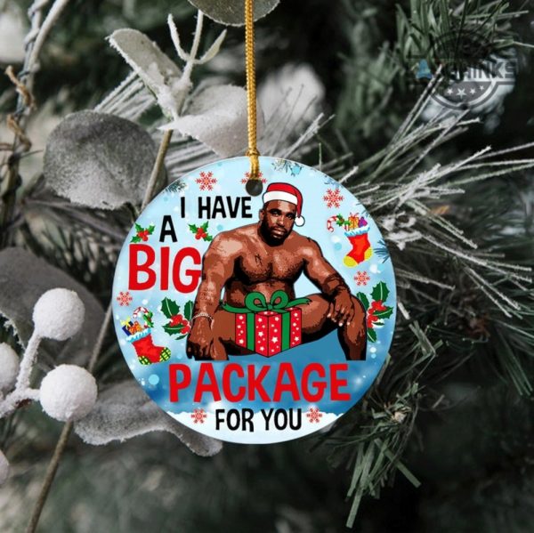 barry wood christmas ornament both sided i have a big package for you circle ornaments funny meme gag xmas tree decoration gift for family laughinks 5