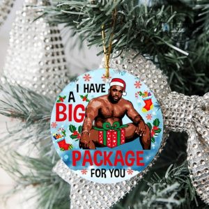 barry wood christmas ornament both sided i have a big package for you circle ornaments funny meme gag xmas tree decoration gift for family laughinks 6