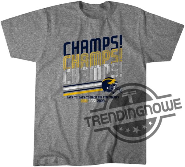 Michigan Big Ten Championship Shirt Michigan Football Shirt B1g Champs Champs Champs Tshirt trendingnowe 1