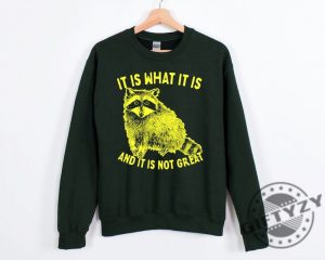 It Is What It Is And It Is Not Great Shirt Raccoon Sweatshirt Meme Hoodie Sarcastic Tshirt Funny Shirt giftyzy 2