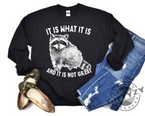 It Is What It Is And It Is Not Great Shirt Raccoon Sweatshirt Meme Hoodie Sarcastic Tshirt Funny Shirt giftyzy 3