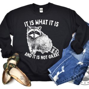 It Is What It Is And It Is Not Great Shirt Raccoon Sweatshirt Meme Hoodie Sarcastic Tshirt Funny Shirt giftyzy 3