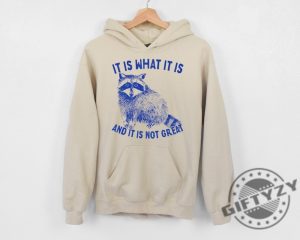 It Is What It Is And It Is Not Great Shirt Raccoon Sweatshirt Meme Hoodie Sarcastic Tshirt Funny Shirt giftyzy 4