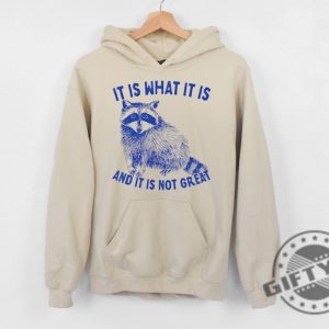 It Is What It Is And It Is Not Great Shirt Raccoon Sweatshirt Meme Hoodie Sarcastic Tshirt Funny Shirt giftyzy 4