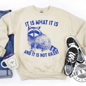It Is What It Is And It Is Not Great Shirt Raccoon Sweatshirt Meme Hoodie Sarcastic Tshirt Funny Shirt giftyzy 5