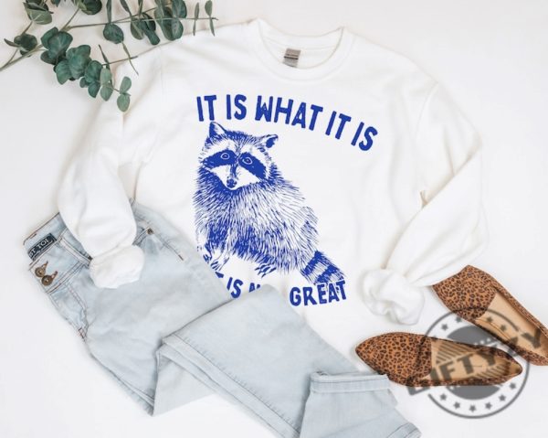 It Is What It Is And It Is Not Great Shirt Raccoon Sweatshirt Meme Hoodie Sarcastic Tshirt Funny Shirt giftyzy 6