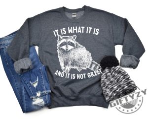 It Is What It Is And It Is Not Great Shirt Raccoon Sweatshirt Meme Hoodie Sarcastic Tshirt Funny Shirt giftyzy 7