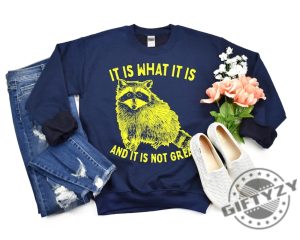 It Is What It Is And It Is Not Great Shirt Raccoon Sweatshirt Meme Hoodie Sarcastic Tshirt Funny Shirt giftyzy 8