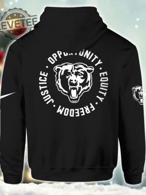 Bear Justice Opportunity Equity Freedom Hoodie T Shirt Sweatshirt revetee 2