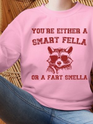 Are You A Smart Fella Or Fart Smella Retro Cartoon Shirt Weird Sweater Meme Shirt Trash Panda Shirt Trending Shirts Gift For Friends Unique revetee 4