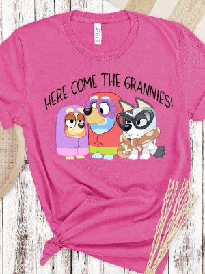 Here Comes The Grannies Bluey Shirt Bluey Shirt Bluey Character Shirt Bluey Heeler Family Shirt Bluey Birthday Gift Bluey And Bingo Tee Unique revetee 2