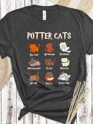 Potter Cats Shirt Funny Cats Shirt Cute Cats Gift For Cat Owner Pottery Gift Cute Comfy Wizard Book Lover Cat Lover Birthday Gift Unique revetee 2