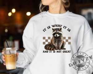 It Is What It Is And It Is Not Great Shirt Racoon Meme Sweatshirt Racoon Lover Tshirt Animal Lover Hoodie Mental Health Shirt giftyzy 2