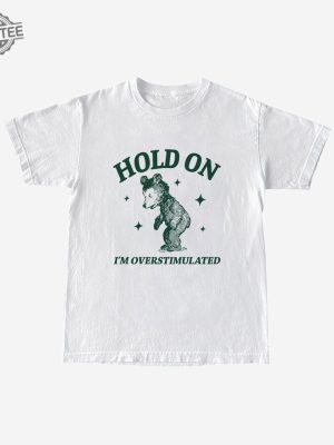 Hold On Im Overstimulated Unisex Heavy Blend Crewneck Sweatshirt Retro Bear Cartoon Vintage Cartoon Bear Aesthetic T Shirt Unique revetee 5 1