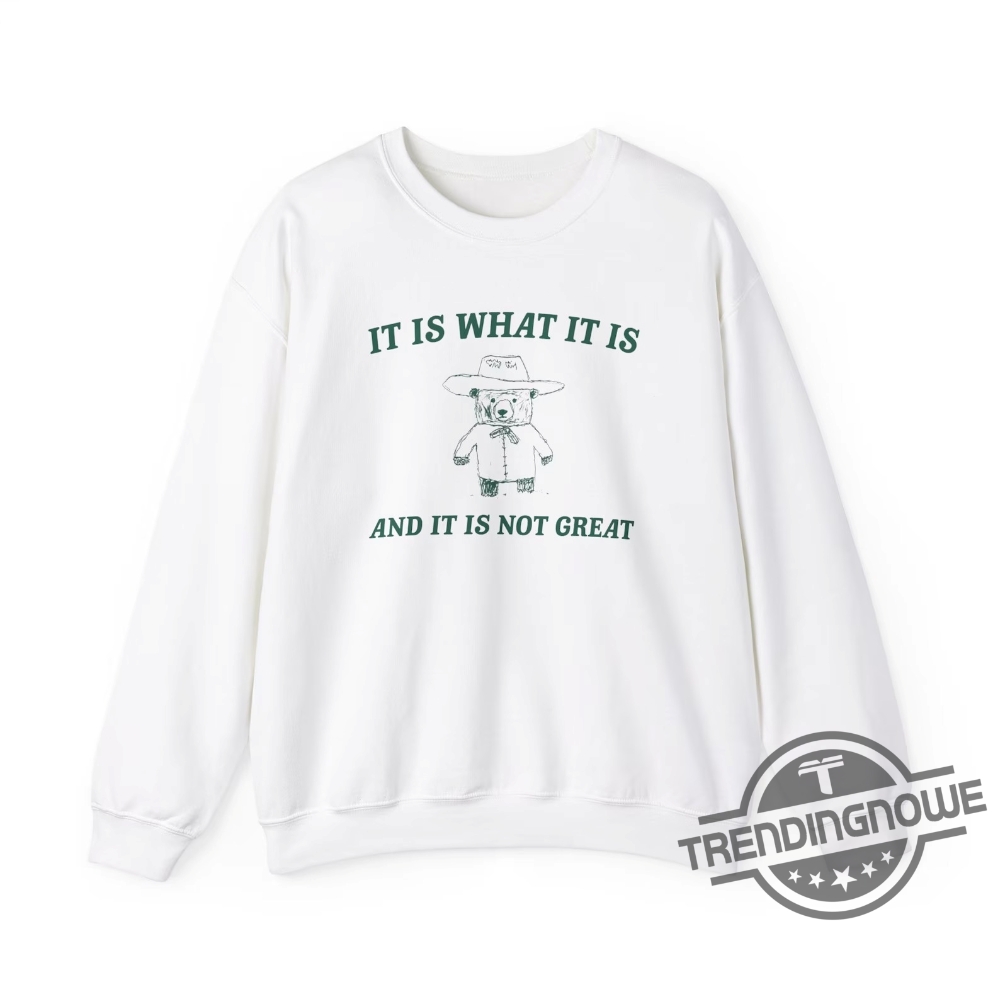 It Is What It Is And Its Not Great Shirt Sweatshirt Hoodie