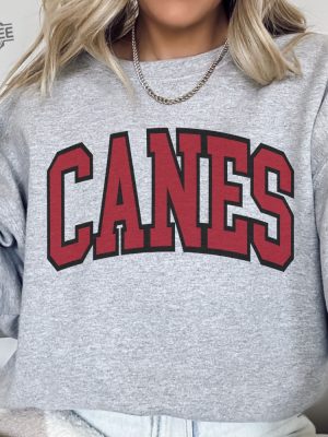 Vintage Carolina Hockey Sweatshirt Hurricanes Hockey Crewneck Retro Hurricanes Shirt Gift For Hurricanes Fan revetee 1