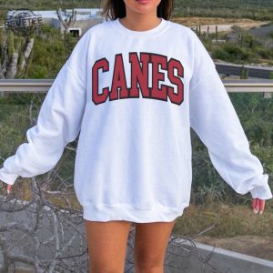 Vintage Carolina Hockey Sweatshirt Hurricanes Hockey Crewneck Retro Hurricanes Shirt Gift For Hurricanes Fan revetee 2