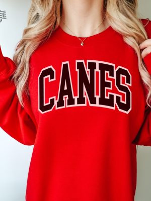 Vintage Carolina Hockey Sweatshirt Hurricanes Hockey Crewneck Retro Hurricanes Shirt Gift For Hurricanes Fan revetee 3