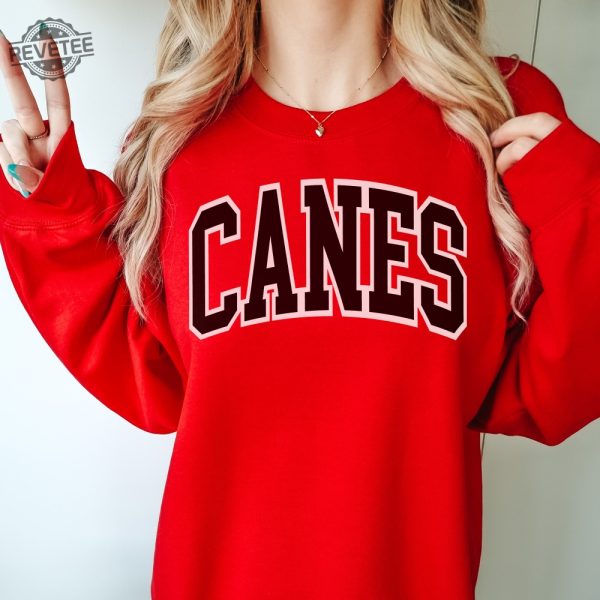 Vintage Carolina Hockey Sweatshirt Hurricanes Hockey Crewneck Retro Hurricanes Shirt Gift For Hurricanes Fan revetee 3