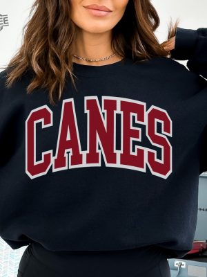 Vintage Carolina Hockey Sweatshirt Hurricanes Hockey Crewneck Retro Hurricanes Shirt Gift For Hurricanes Fan revetee 4