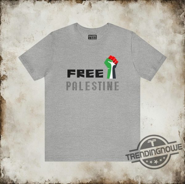 Rip Aaron Bushnell Shirt Free Palestine Rip Aaron Bushnell Shirt Liberation Shirt Resistance Until Reclamation Shirt Support Palestine Shirt trendingnowe 1