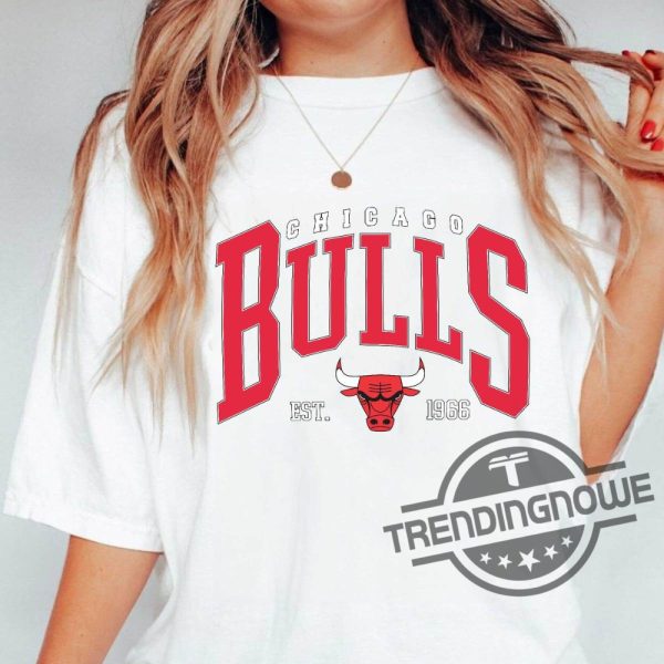 Chicago Bulls Shirt Chicago Basketball Team All Time Legends T Shirt Sweatshirt Chicago Bulls Logo Shirt Gift For Fan trendingnowe.com 2