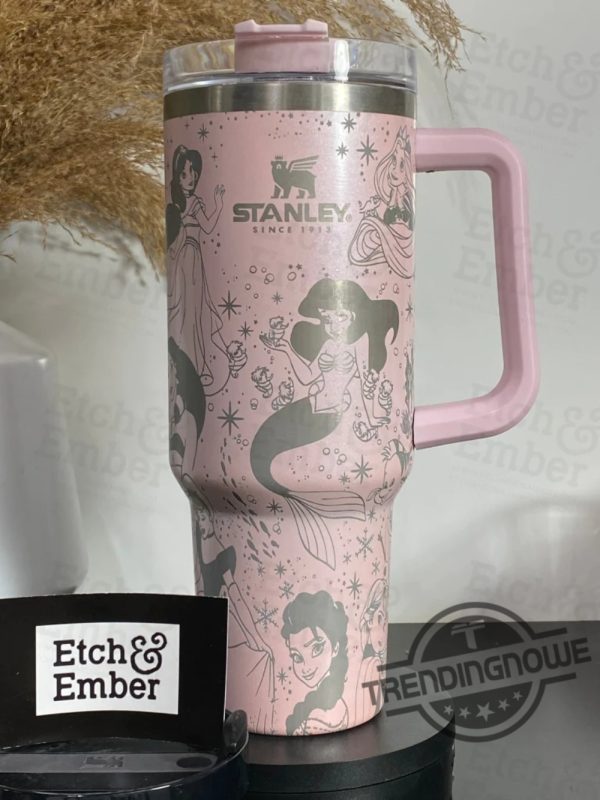 Magical Princess Stanley Cup Stanley Adventure Quencher 40 Oz Tumbler Gift Magical Princess Stanley Tumbler Disney Princess Stanley trendingnowe 1