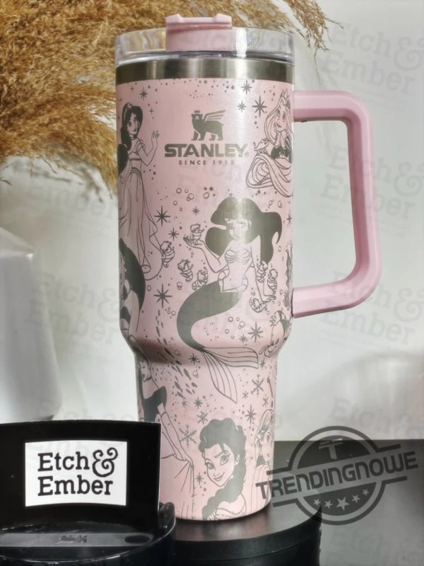 Magical Princess Stanley Cup Stanley Adventure Quencher 40 Oz Tumbler Gift Magical Princess Stanley Tumbler Disney Princess Stanley trendingnowe 4