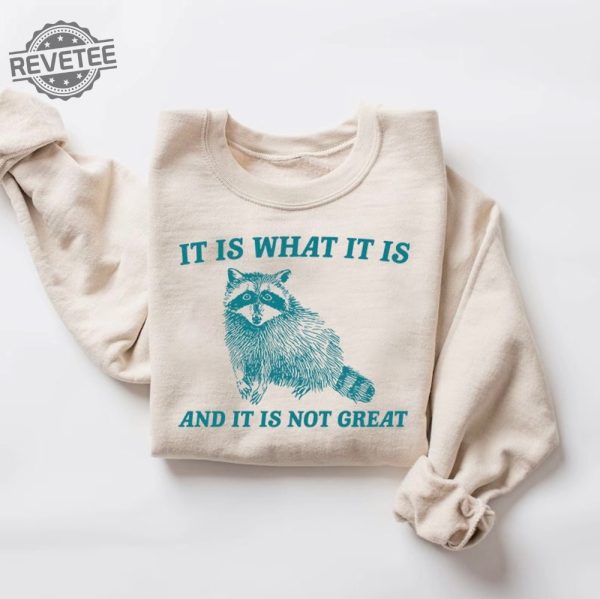 It Is What It Is And It Is Not Great Sweatshirt Mental Health Sweatshirt Funny Sweatshirt Women Unique revetee 4