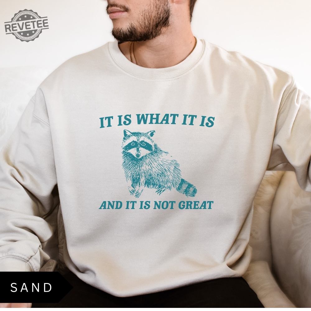 It Is What It Is And It Is Not Great Sweatshirt Meme Sweatshirt Vintage Sweatshirt Raccoon Sweatshirt Unique