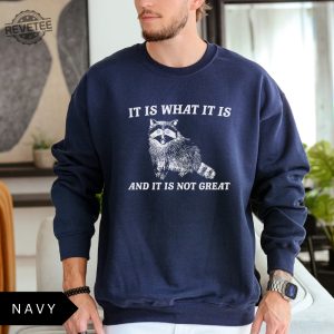 It Is What It Is And It Is Not Great Sweatshirt Meme Sweatshirt Vintage Sweatshirt Raccoon Sweatshirt Unique revetee 2