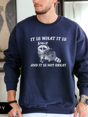 It Is What It Is And It Is Not Great Sweatshirt Meme Sweatshirt Vintage Sweatshirt Raccoon Sweatshirt Unique revetee 2