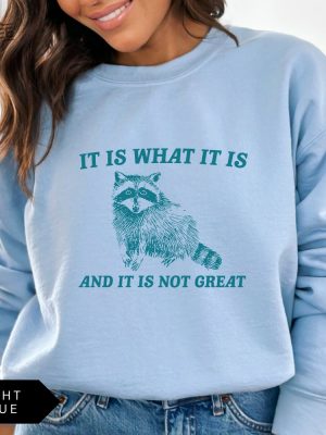 It Is What It Is And It Is Not Great Sweatshirt Meme Sweatshirt Vintage Sweatshirt Raccoon Sweatshirt Unique revetee 3