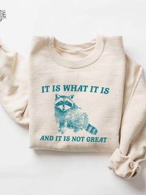 It Is What It Is And It Is Not Great Sweatshirt Meme Sweatshirt Vintage Sweatshirt Raccoon Sweatshirt Unique revetee 4