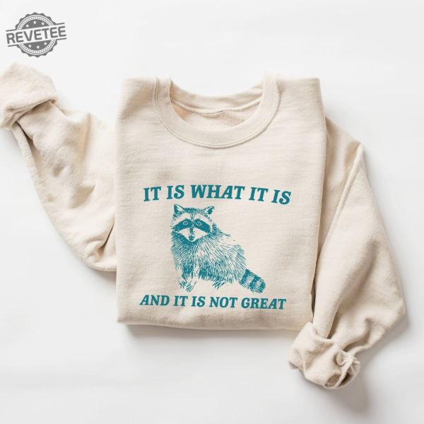 It Is What It Is And It Is Not Great Sweatshirt Meme Sweatshirt Vintage Sweatshirt Raccoon Sweatshirt Unique revetee 4